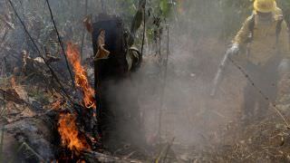 Operação contra incêndio na Amazônia pode ser prorrogada por um mês