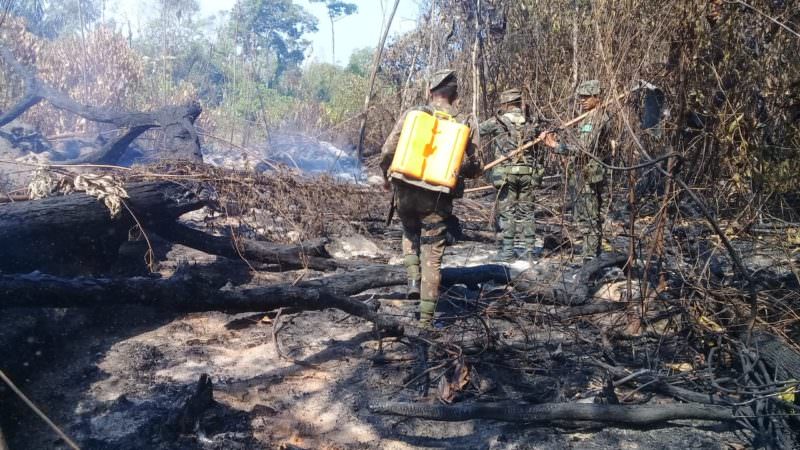 Força-tarefa da AGU vai atuar por mais um ano em defesa da Amazônia