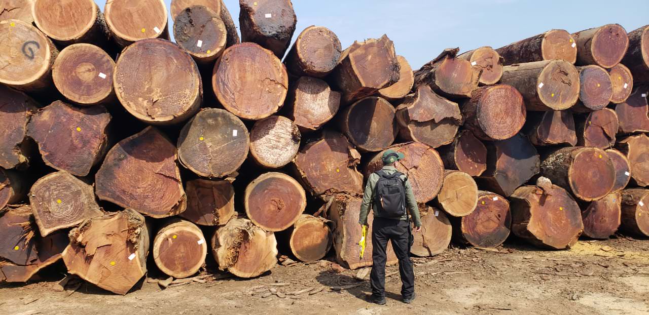 Serraria é multada em R$ 2,6 milhões por desmatamento ilegal no AM