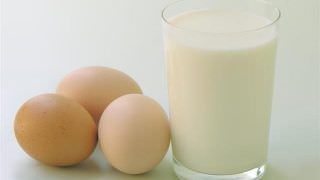 Produção de leite sobe e a de ovos bate recorde