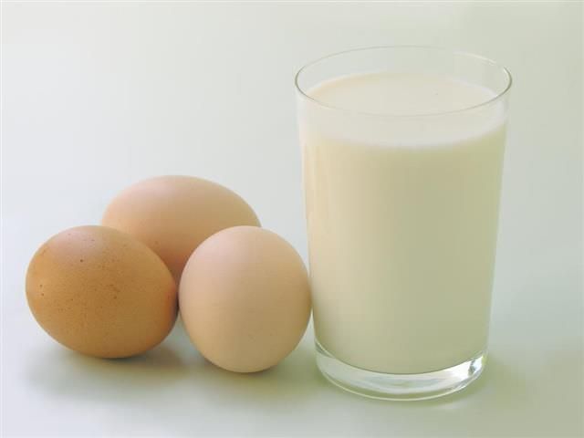 Produção de leite sobe e a de ovos bate recorde