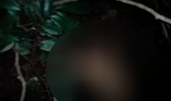 Corpo de homem é encontrado no ramal do Brasileirinho em Manaus