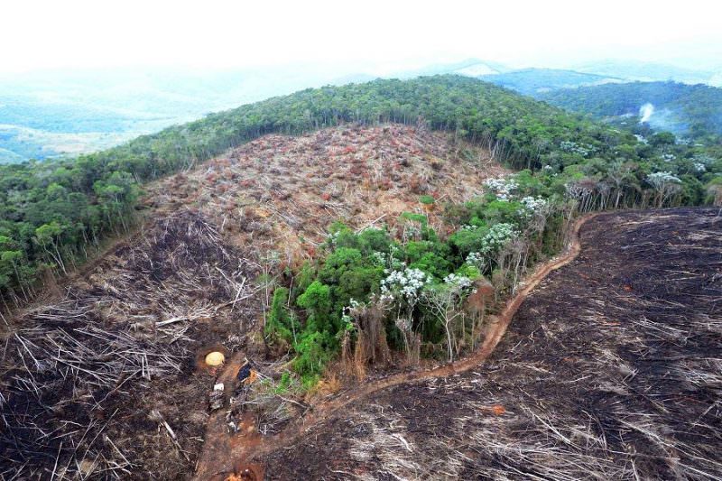 Desmatamento leva Amazônia e Pantanal a perder áreas equivalentes ao estado do RJ