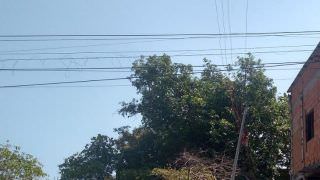 Cinco casas são flagradas com 'gato' de energia durante inspeção em Manaus