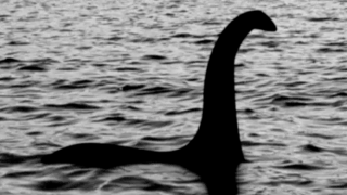DNA sugere que 'monstro' do Lago Ness pode ser enguia gigante