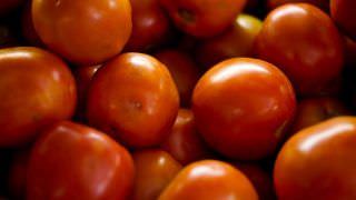 Preço do tomate negociado nas Ceasas está em queda, segundo a Conab