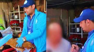 Idoso é preso após estuprar galinhas e divulgar vídeo na web