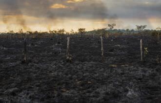 Desmatamento na Amazônia cresce 96% em setembro, aponta Inpe