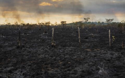 Desmatamento na Amazônia cresce 96% em setembro, aponta Inpe