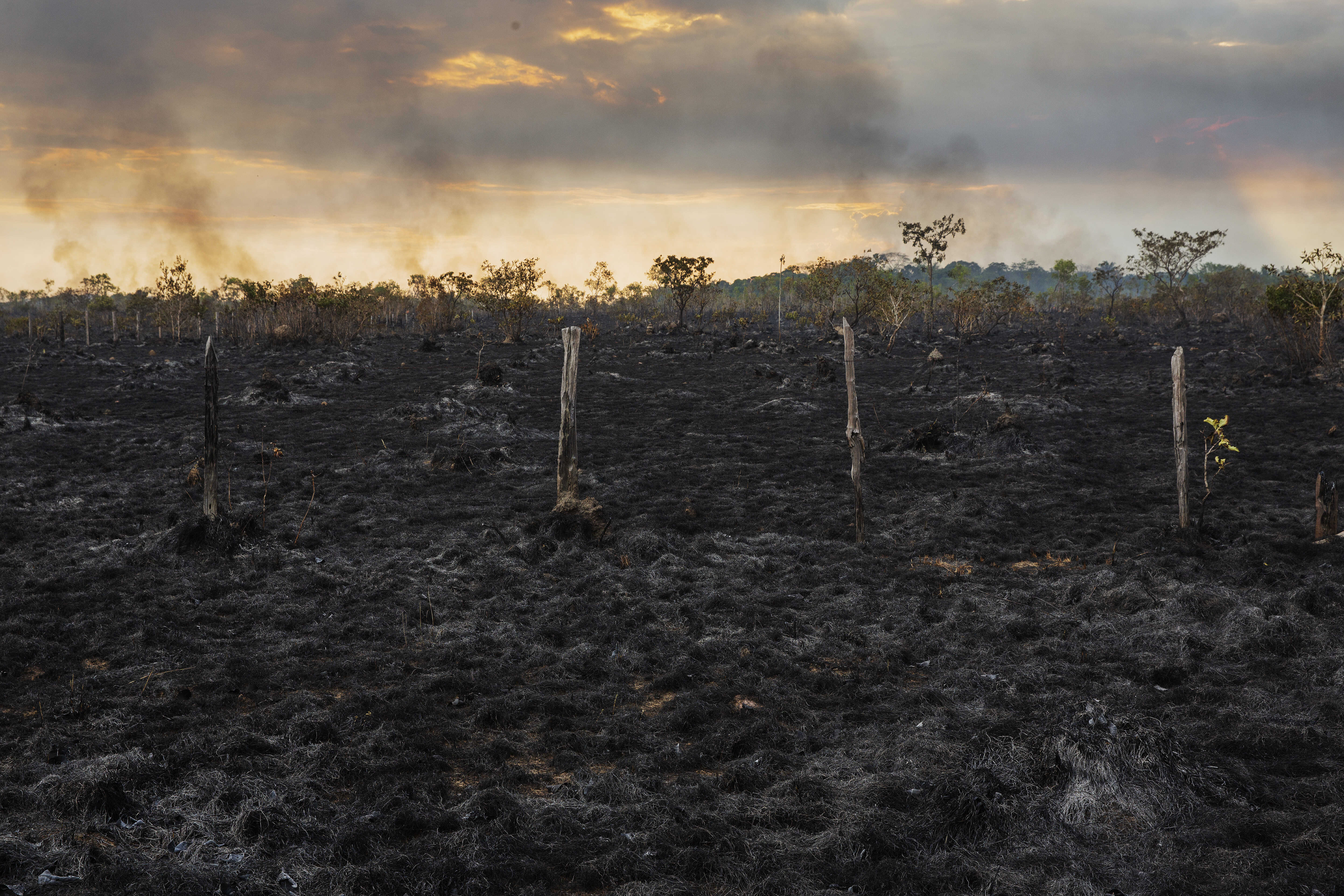 Desmatamento na Amazônia cresce em setembro aponta Inpe