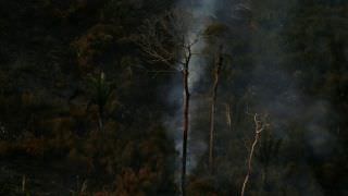 Operação aplicou quase R$ 100 milhões em multas na Amazônia