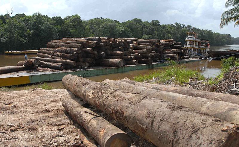 MPF exige indenização de R$ 80 mi a desmatadores de Floresta Nacional no AM