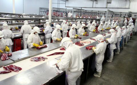 Arábia Saudita habilita oito novos frigoríficos brasileiros