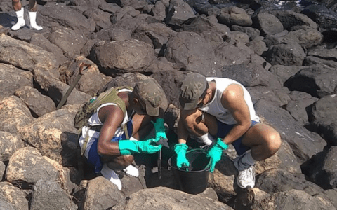 Sem novas manchas de óleo, Abrolhos é reaberto para visitação