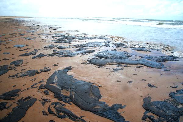 Já são 772 áreas atingidas por óleo no Nordeste, ES e RJ