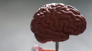 Exame de sangue pode dizer tempo de vida de pacientes com câncer