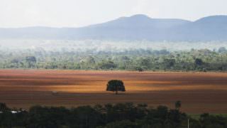 Cerrado registra menor desmatamento da série histórica