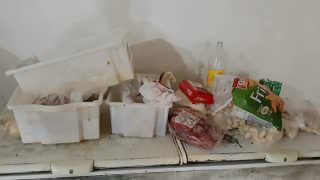 Quatro restaurantes são autuados por péssimas condições sanitárias