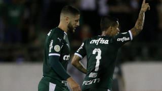 Palmeiras prevê verba de R$ 50 milhões para reforços