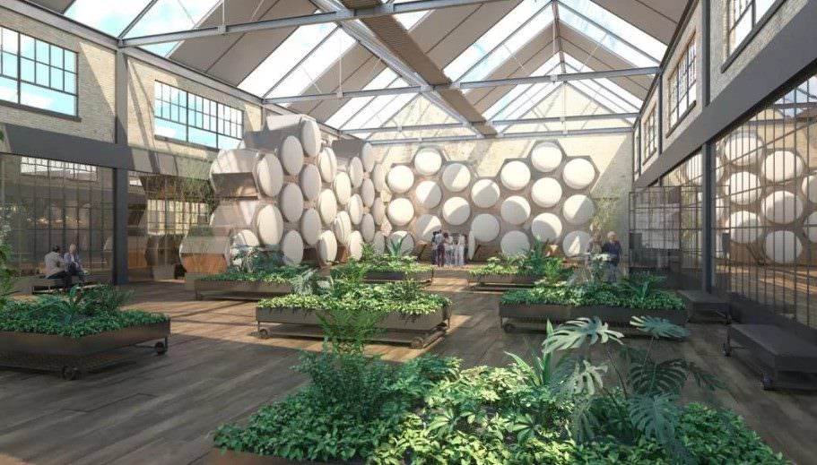 Compostagem de humanos deve começar nos Estados Unidos em 2021