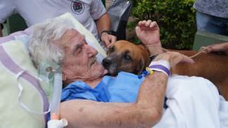 Idoso internado em hospital recebe visita do seu cachorro de estimação
