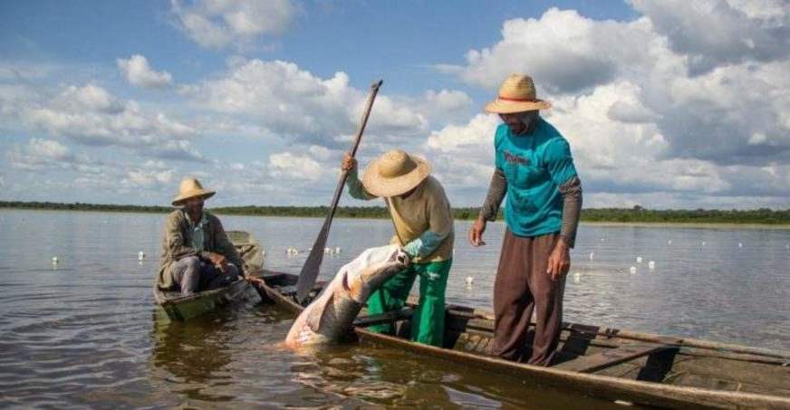 Caixa começa a pagar benefício para pescadores artesanais