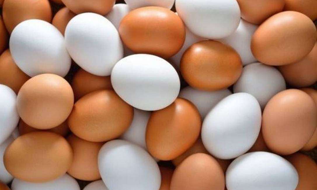 Ovos de galinha batem recorde em produção no terceiro trimestre deste ano