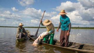 Caixa começa a pagar benefício para pescadores artesanais