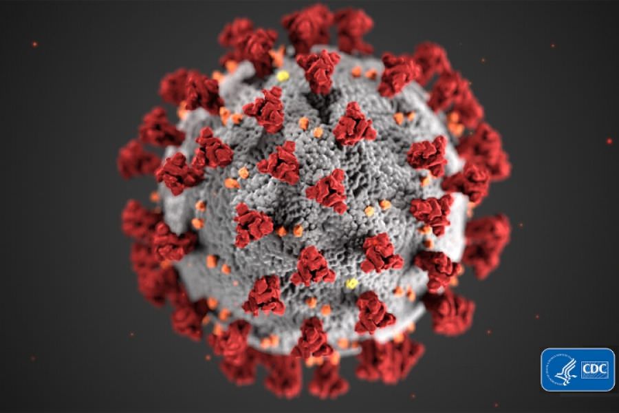 Estudo aponta presença do vírus SARS-CoV-2 no país desde novembro de 2019