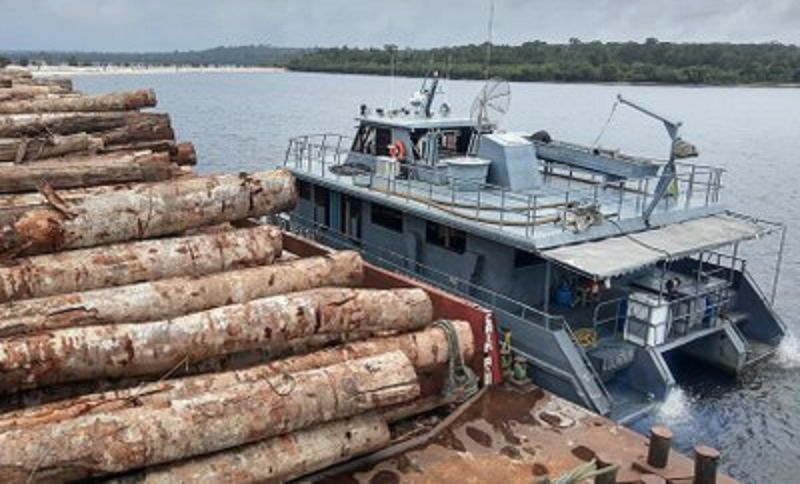 MPF pede aos EUA devolução de madeira da Amazônia exportada ilegalmente