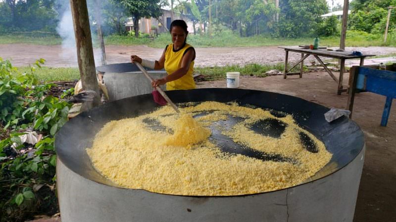 Entrega de equipamentos durante pandemia impulsiona produção de farinha no Amazonas
