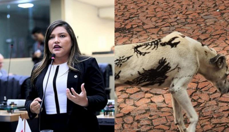 Joana Darc apresenta projeto que proíbe tatuar animais no Amazonas