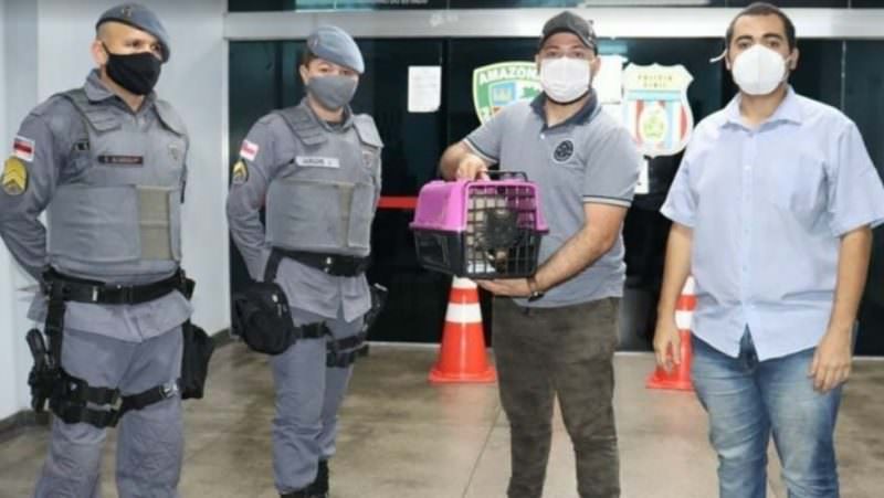 Dois homens são detidos por maus-tratos a animal doméstico em Manaus