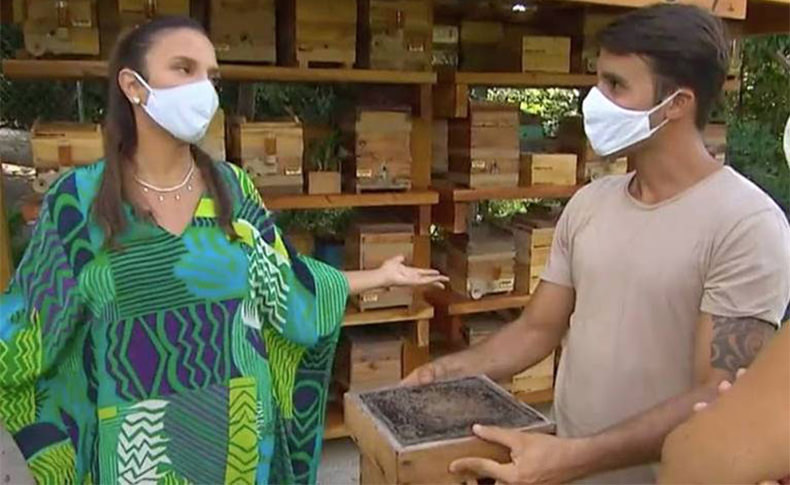 Ivete Sangalo e o marido Daniel Cady criam abelhas sem ferrão na Bahia