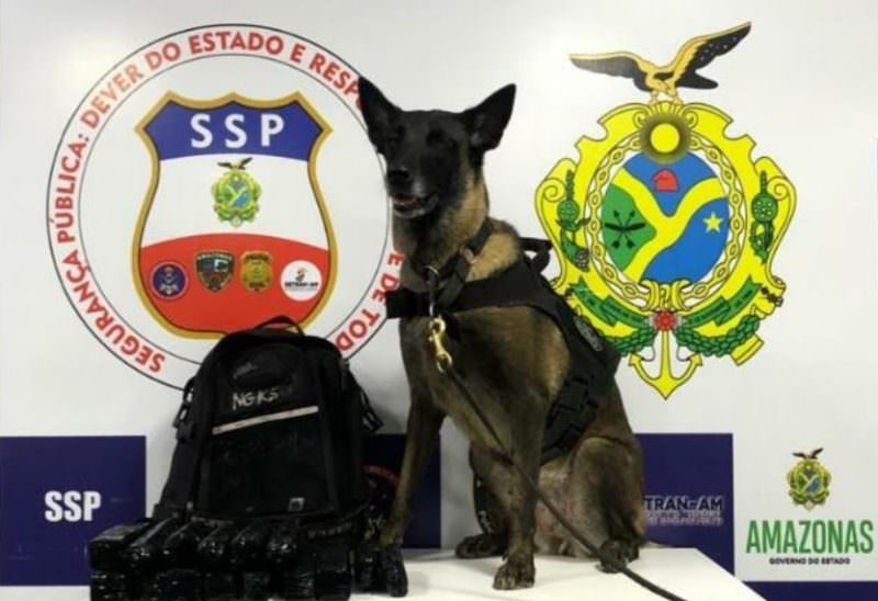 Polícia apreende droga avaliada em R$ 78 mil em embarcação no AM