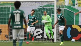 palmeiras