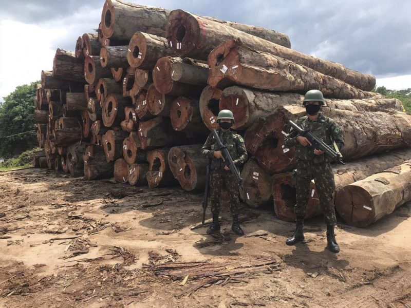 Amazônia perdeu área similar a 2 mil campos de futebol por dia em 2022, diz Imazon