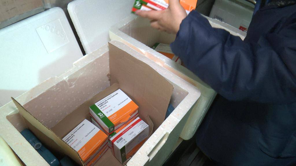 Covid-19: total de 347.788 vacinas já foi aplicado no Amazonas