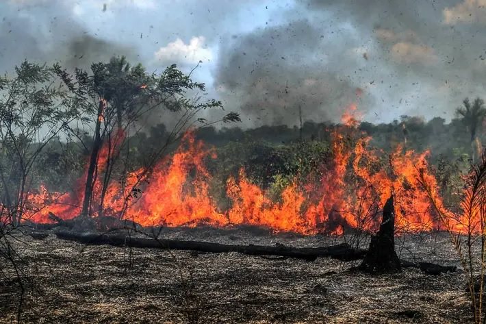 No ano passado, o Instituto Nacional de Pesquisas Espaciais (Inpe) registrou 89.604 focos de calor entre janeiro e outubro - Foto: Gabriela Bilo / Estadão_Floresta_Amazônica