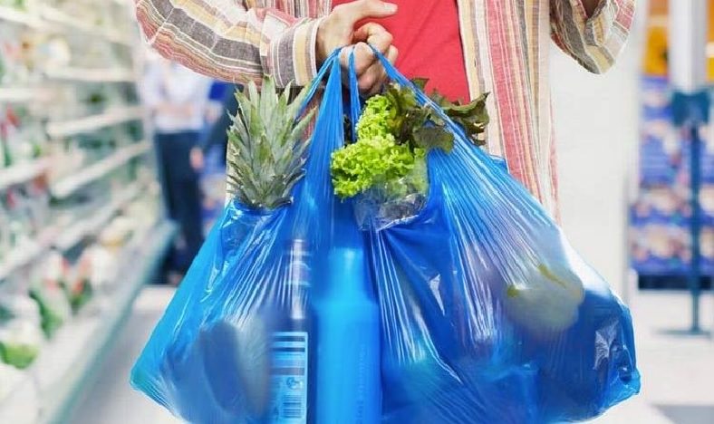 Retirada imediata de sacolas plásticas do mercado pode ser um 'choque social', diz parlamentar