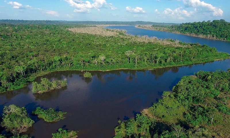 O artigo Carbono e além: a biogeoquímica do clima em uma Amazônia em rápida mudança revisa os impactos relacionados ao desmatamento e à perda da floresta no bioma no dióxido de carbono CO2 - Foto: Divulgação_Floresta_Amazônica