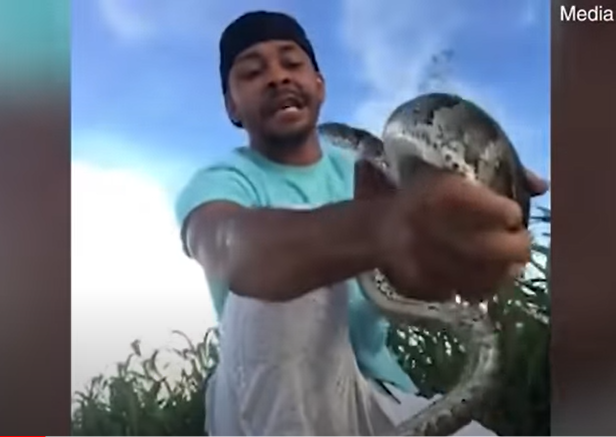 Tratador de cobras quase tem olho arrancado por píton; veja o vídeo
