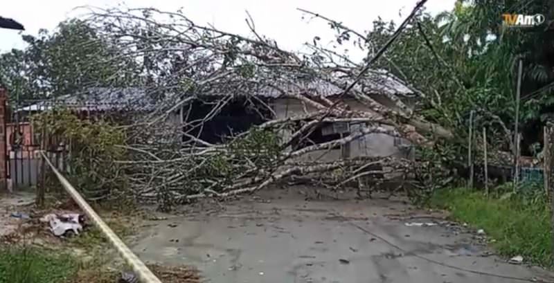 URGENTE: Árvore cai e derruba poste de energia em Manaus