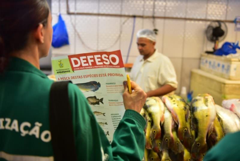Período de defeso encerra para oito espécies de peixes nesta segunda-feira