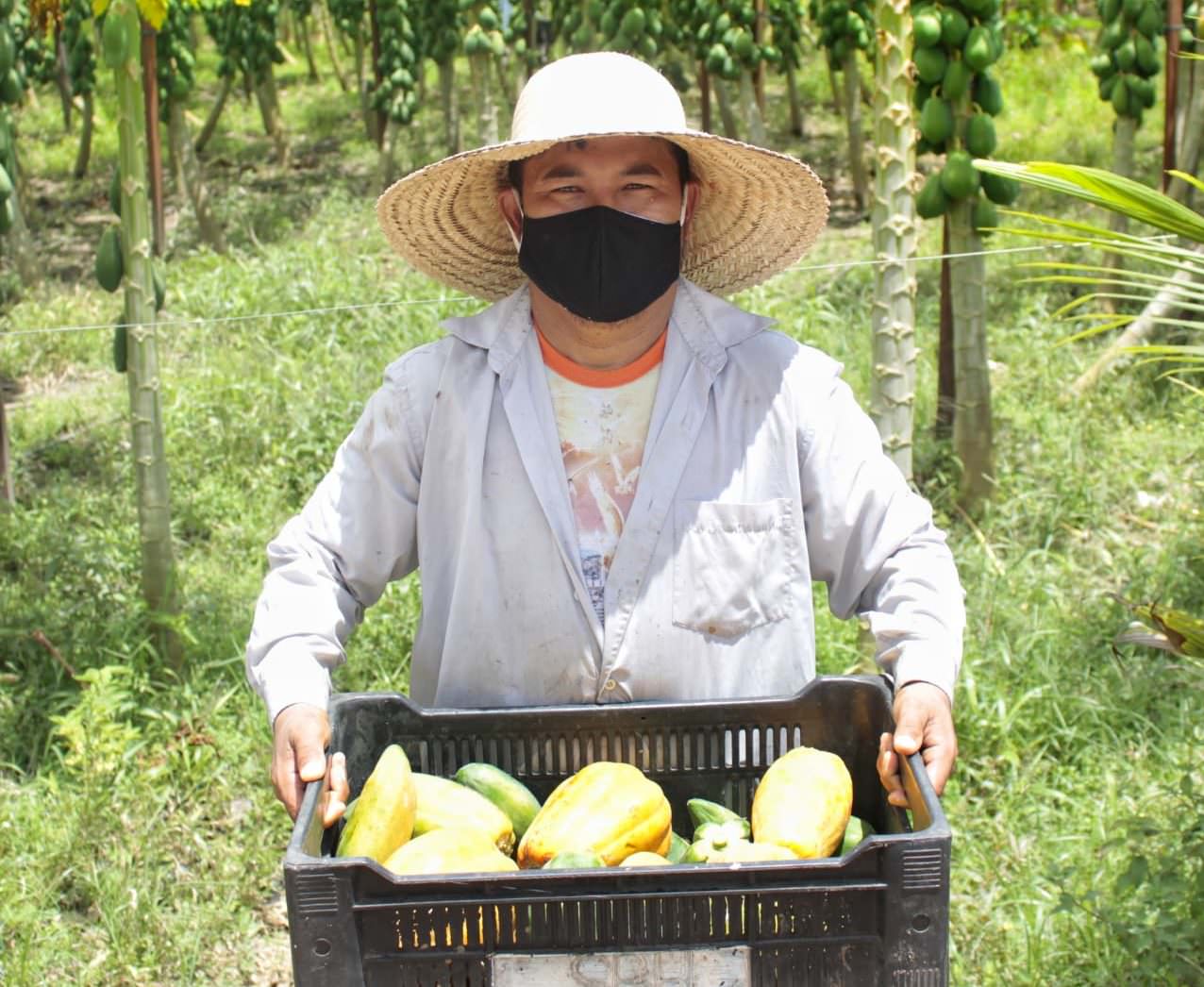 ‘Kit Agricultura Familiar’ beneficia pequenos produtores em Manacapuru