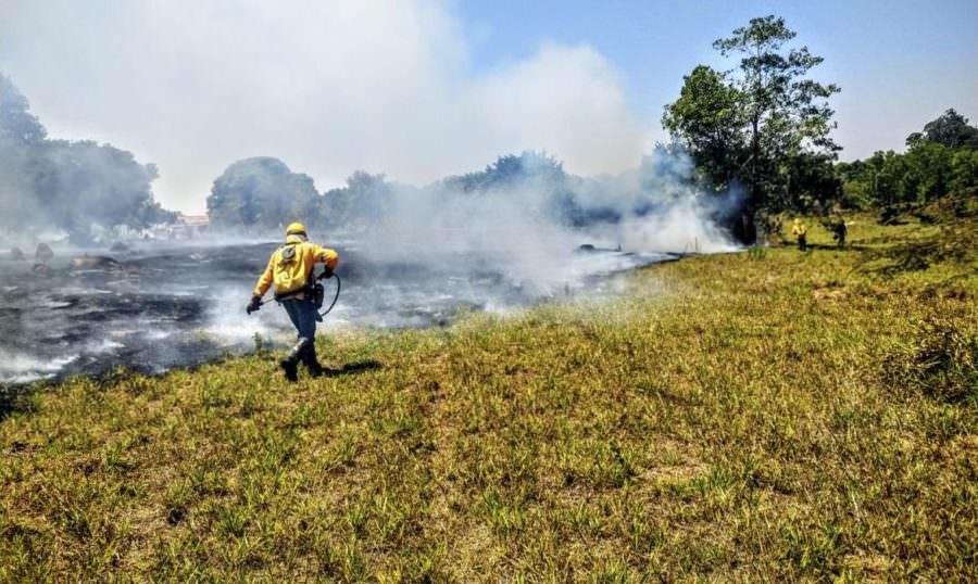 Em 85 dias, bombeiros combateram 1.677 incêndios no AM; 571 só em Manaus