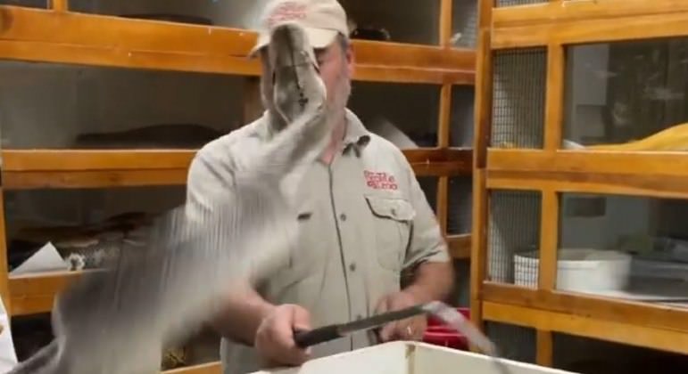Cobra grande quase abocanha rosto de tratador: veja o vídeo