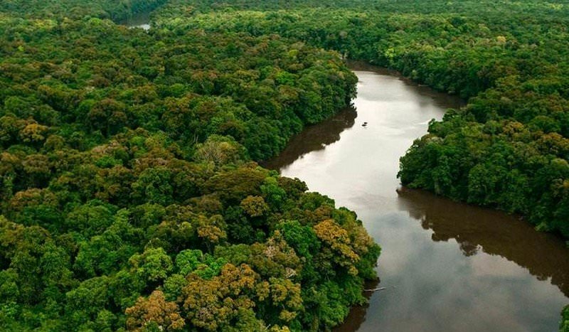 Após 40 dias desaparecido, piloto é achado vivo na região amazônica