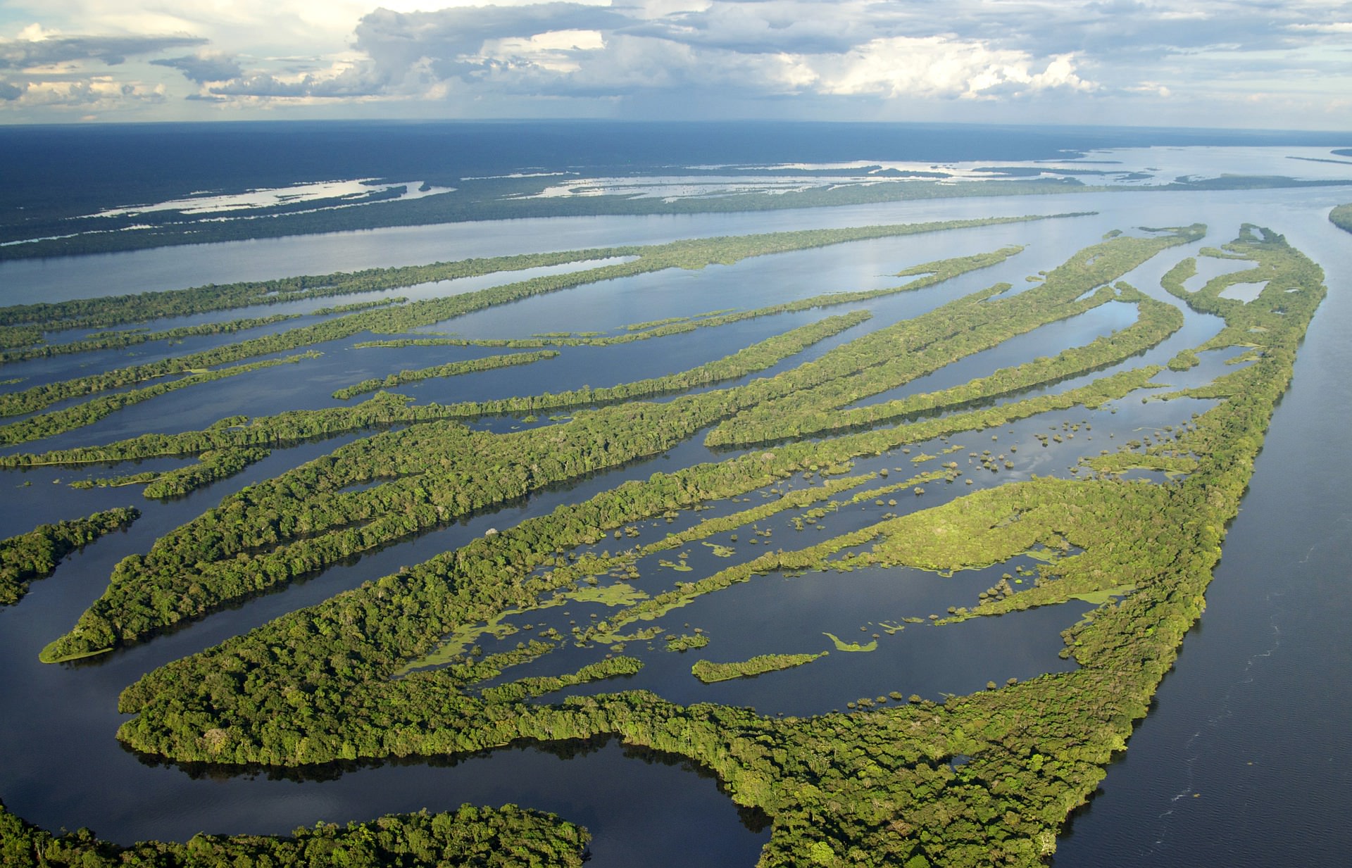 Força Nacional é autorizada a apoiar ICMBio na Amazônia