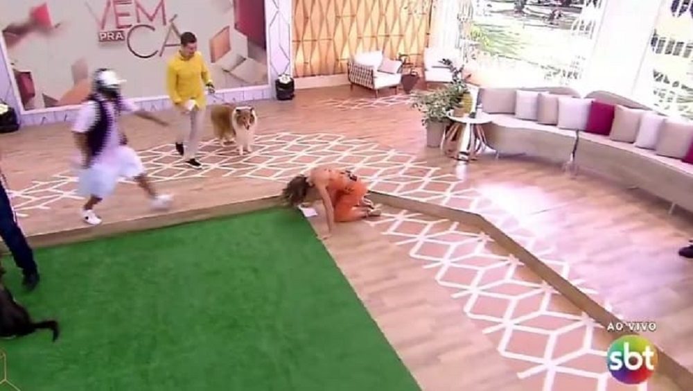 Patrícia Abravanel leva tombo ao vivo no Vem pra Cá